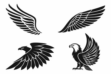 Fototapeta premium set of eagle