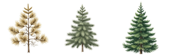 Fototapeta premium Artistic Watercolor Renderings of Coniferous Trees: Portraying Pine and Fir Tree Varieties in Different Hues and Forms