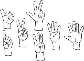 Collection of hand gesture line art, perfect for icons, illustrations, or educational materials. Includes various poses like thumbs up, pointing, peace, and open palms, offering diverse communication.