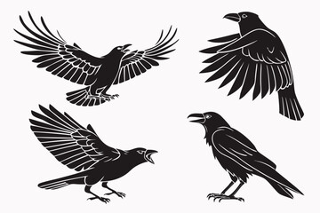 Fototapeta premium set of birds