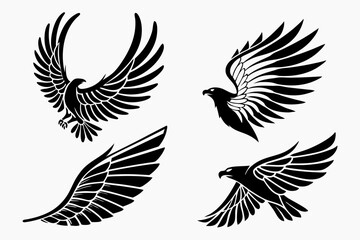 Obraz premium set of birds