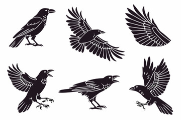 Obraz premium set of birds