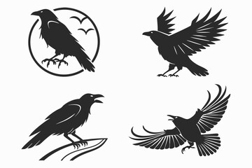 Obraz premium set of birds