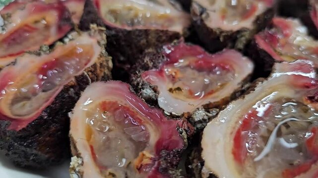 Fresh seafood from the sea, sea squirt