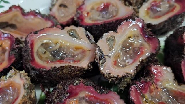 Fresh seafood from the sea, sea squirt