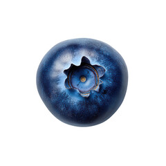 Overhead view of a single ripe blueberry on black background