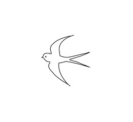 vector illustration of a flying bird on white background