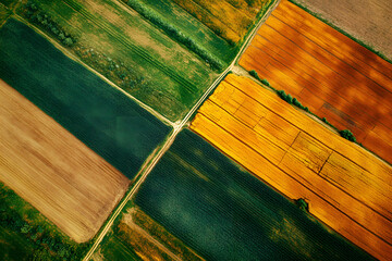 High-Tech Drone Surveillance for Monitoring Crop Health in Farmland  