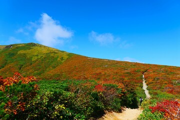栗駒山の紅葉。栗原、宮城、日本。9月下旬。
