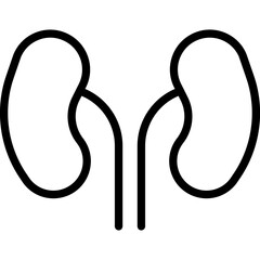 KIDNEYS 
