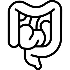 LARGE INTESTINE 
