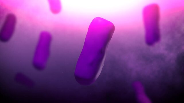 Bacteria of Bacillus anthracis or Anthrax

No AI was used to create this content. Content created in Blender and After Effects.