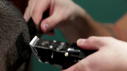 Expert barber skillfully styling hair with precision clippers