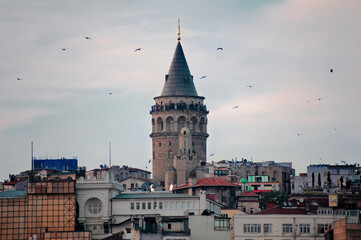 Naklejka premium Galata Tower in Istanbul Turkey