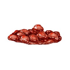 Watercolor illustration of red berry jam with glossy texture and whole fruits. Suitable for packaging, cookbooks, menus, natural cosmetics, and designs for Maslenitsa and summer food festivals
