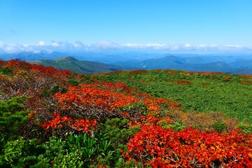 栗駒山の紅葉。栗原、宮城、日本。9月下旬。