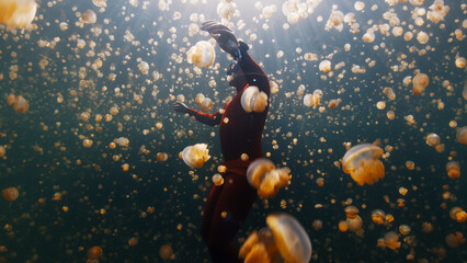 Male freediver in red wetsuit swims underwater in the lake full of jellyfish. West Papua, Raja Ampat, Indonesia