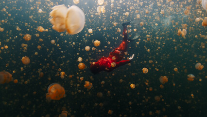 Male freediver in red wetsuit swims underwater in the lake full of jellyfish. West Papua, Raja Ampat, Indonesia