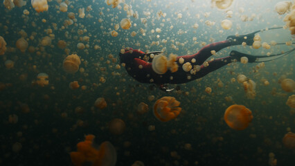 Male freediver in red wetsuit swims underwater in the lake full of jellyfish. West Papua, Raja Ampat, Indonesia