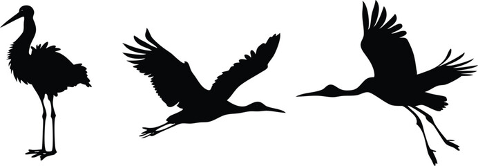 Obraz premium Stork bird silhouettes vector design.