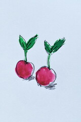 Hand-Drawn Radish Illustration