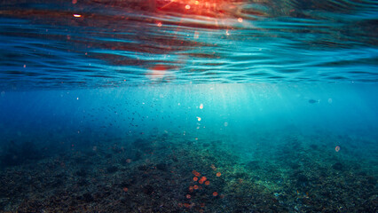 Underwater view of the sea surface with sun rays in the Maldives