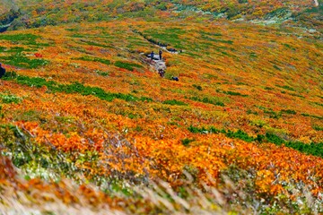 栗駒山の紅葉。栗原、宮城、日本。9月下旬。