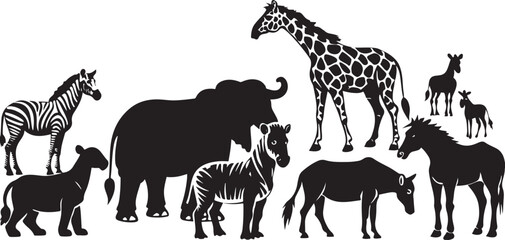 Striped zebra and tall giraffe vector illustration of wild safari animals isolated on white