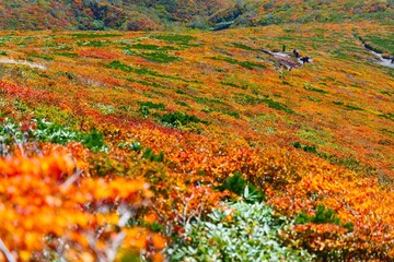 栗駒山の紅葉。栗原、宮城、日本。9月下旬。