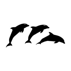 Obraz premium Minimalist Black Silhouette of Dolphin on White Background.