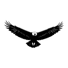 Fototapeta premium Minimalist Black Silhouette of an Eagle on White Background.