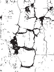 Fototapeta premium Cracked Texture Abstract Black and White Background