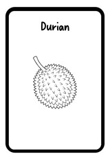 2 - durian (2)