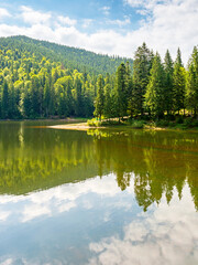 alpine scenery with lake and forest on hill. outdoor adventure. beauty of carpathian mountain nature in summer. green landscape on a sunny day. coniferous trees reflection in water. vacation season