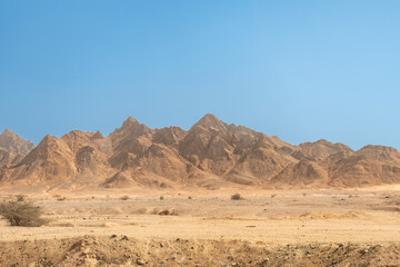 Deserto del Sinai del Sud - Sharm el Sheik - Egitto