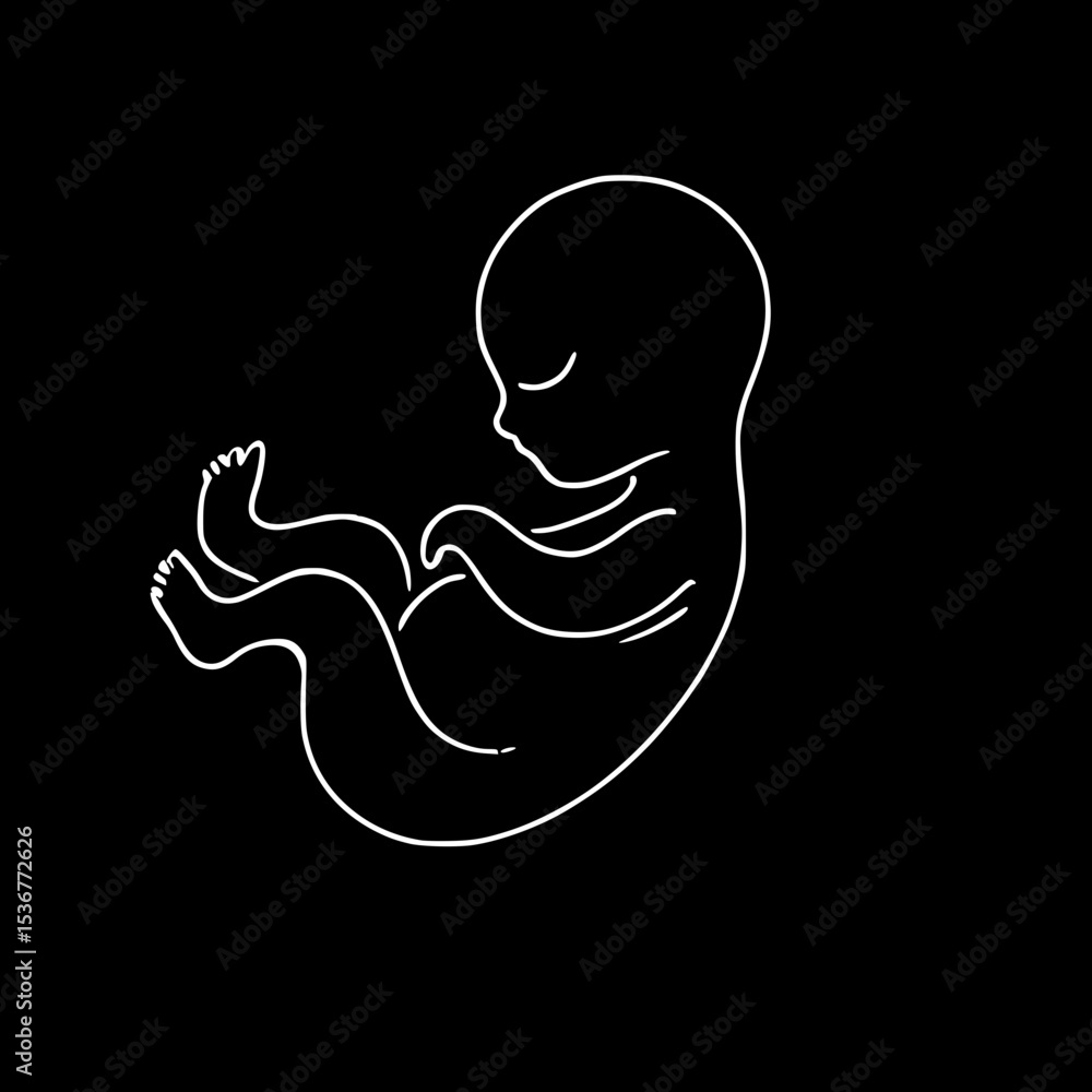 Poster outline of a developing fetus in a relaxed position against black background - concept of single lin