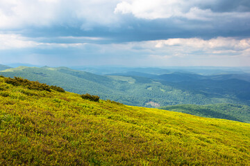 beautiful view in to the valley from the mountain top. scenic landscape with wide meadow in highlands of ukraine. sunny weather in summer with cloudy sky
