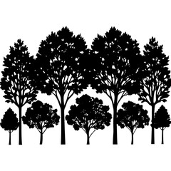 Obraz premium silhouettes of trees