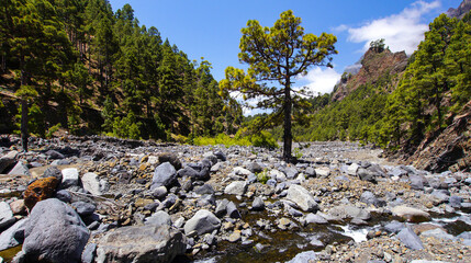 Taburiente River, Caldera de Taburiente National Park, Biosphere Reserve, ZEPA, LIC, La Palma, Canary Islands, Spain, Europe