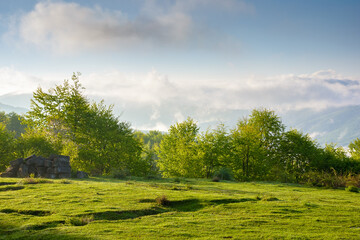countryside mountain landscape with morning fog. alpine scenery of sunny transcarpathia under blue sky with clouds. forest behind the meadow on the edge of a hill. distant rural valley in mist