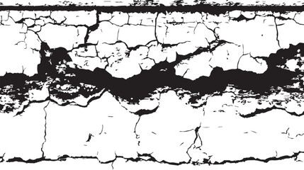 Dramatic Black and White Texture Abstract Crackle Pattern