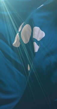 Region Zealand Flag, Denmark. Loop. 4K Vertical