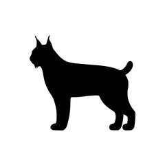 black cat silhouette