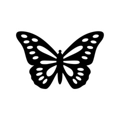 butterfly on white background
