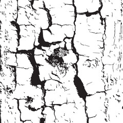 Fototapeta premium Cracked Texture Monochrome Abstract Background