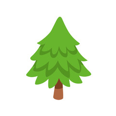 Evergreen Tree