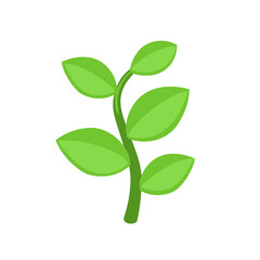 Herb