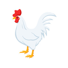 Rooster