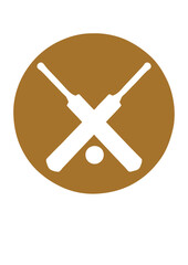 batte cricket balle logo