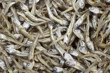 「いりこ」たっぷり、だしの旨味凝縮